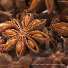 Star Anise with High Quality